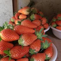 山东甜宝草莓，果型好看，香甜可口，有淡淡的牛奶香味。