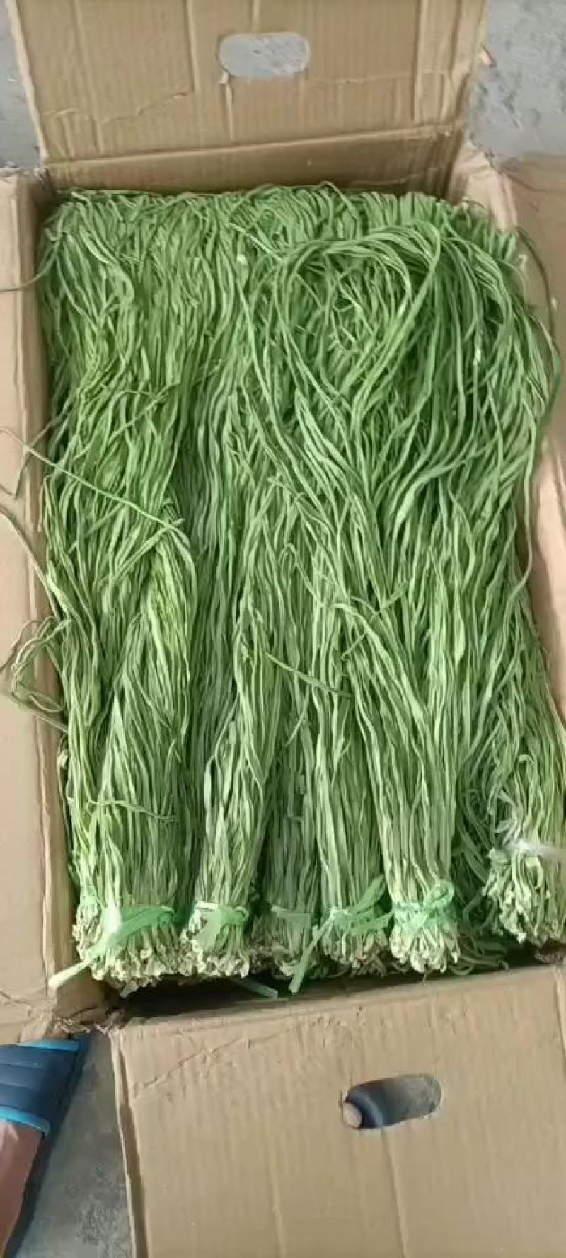 云南贡菜精品优质火锅贡菜产地直供全国供应欢迎选购