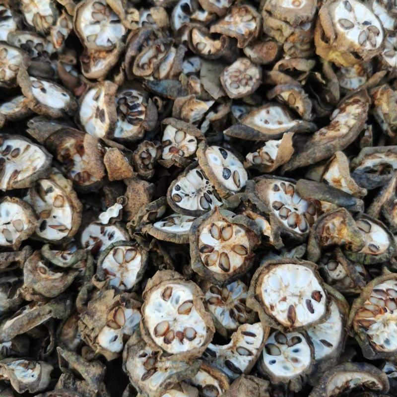 湖北产地预知子（八月札）高含量