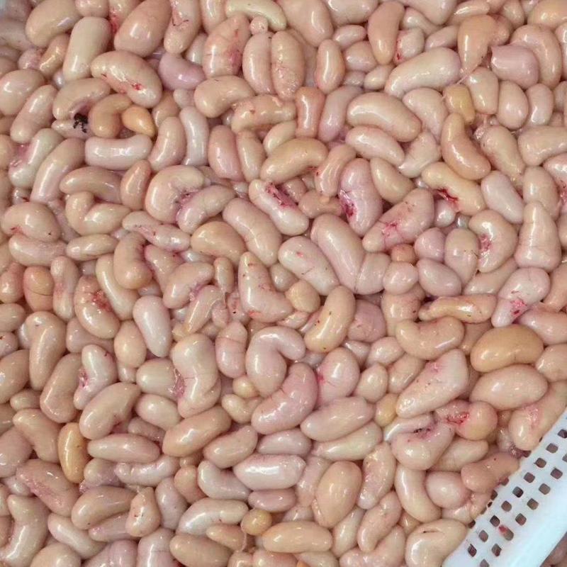 新鲜鸡腰子大中小号鸡子鸡春子产地常年供应批发零