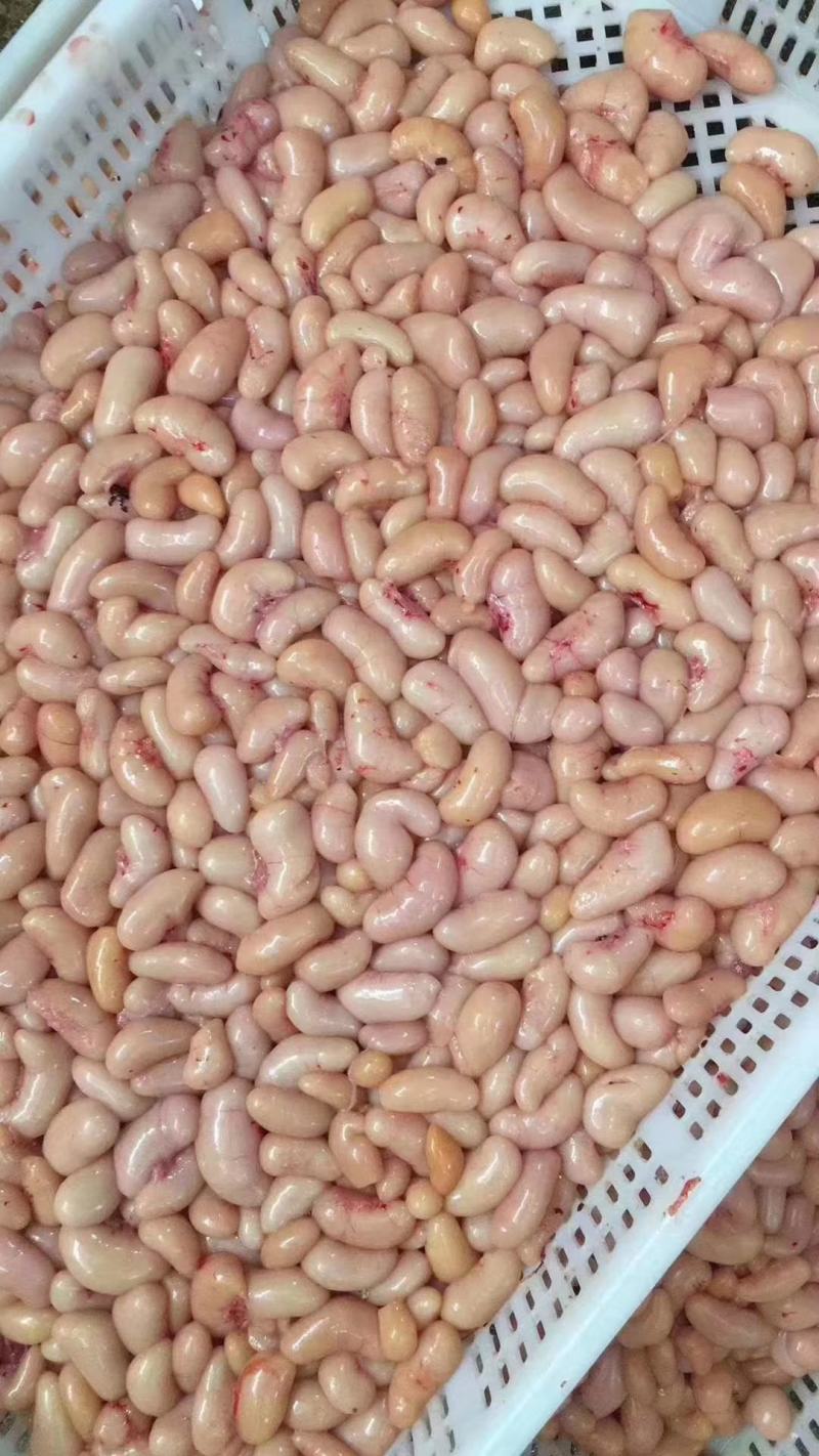 新鲜鸡腰子大中小号鸡子鸡春子产地常年供应批发零