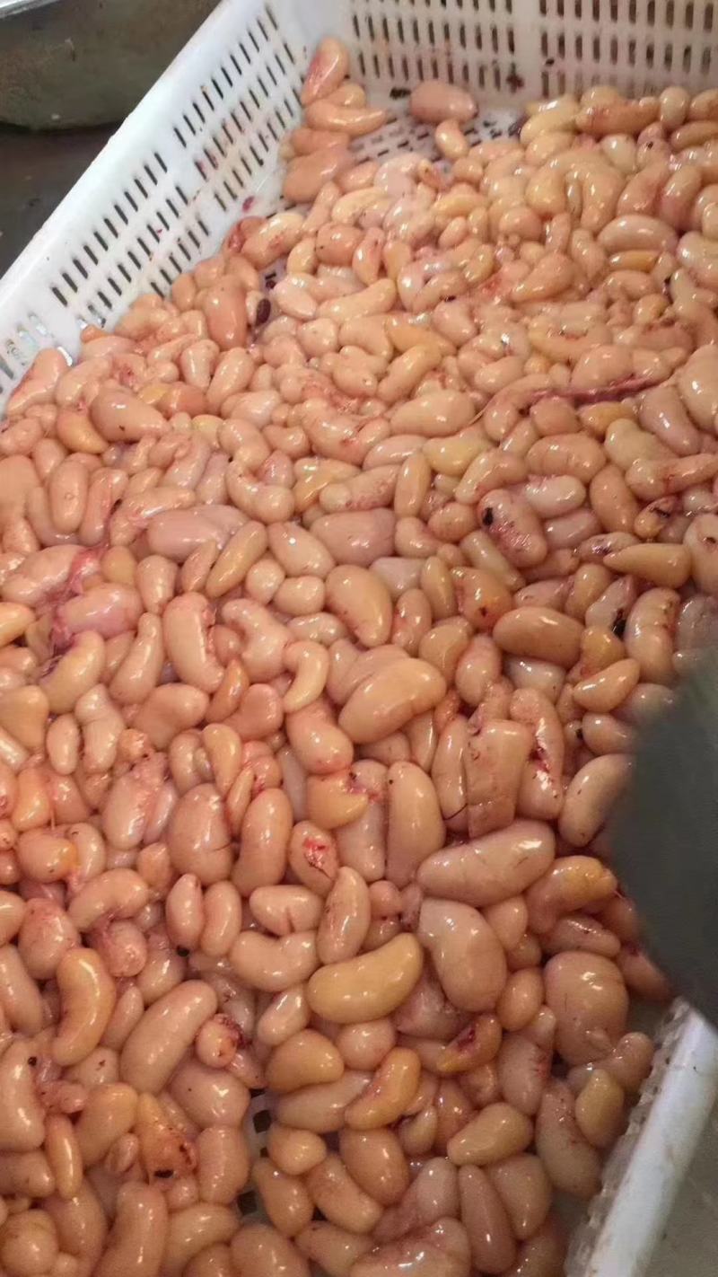新鲜鸡腰子大中小号鸡子鸡春子产地常年供应批发零
