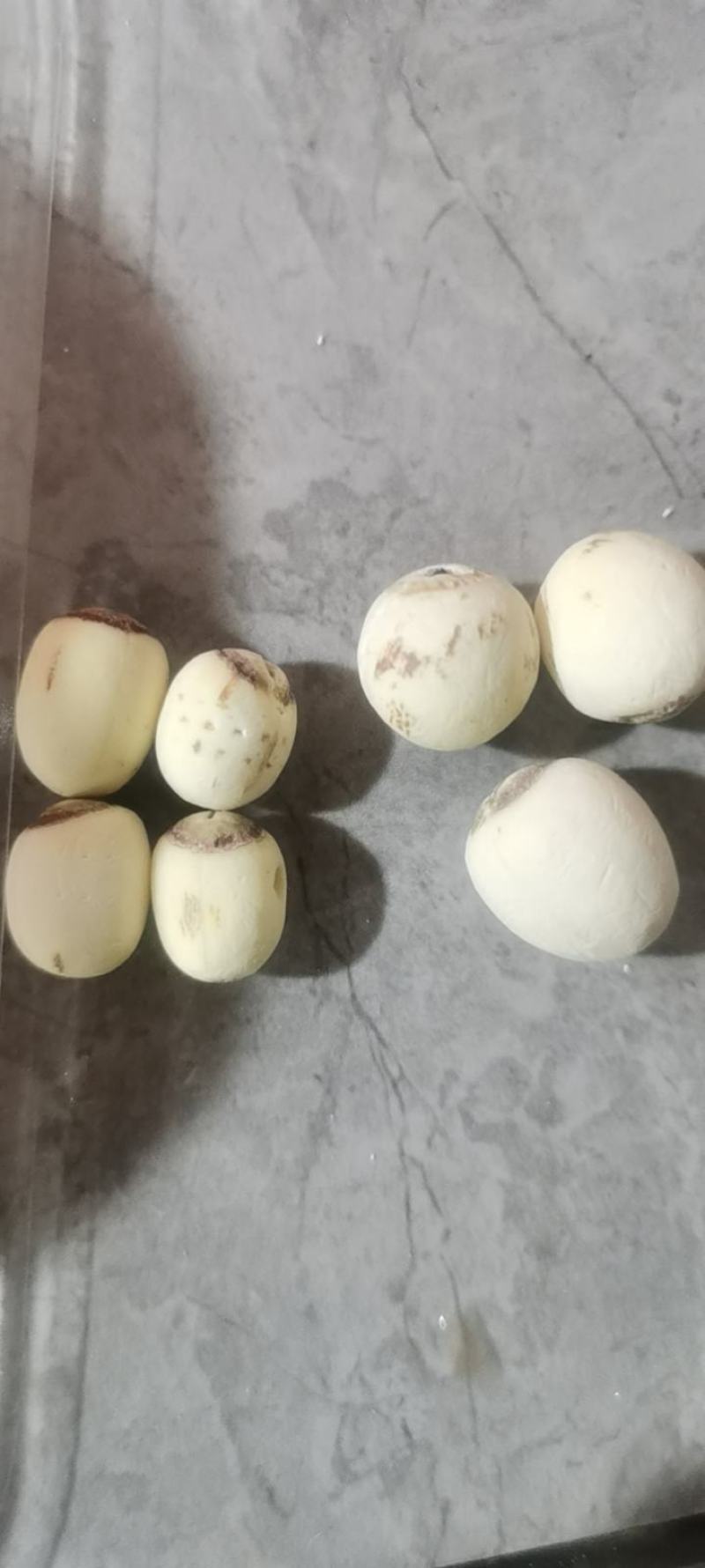 【有芯白莲】莲子湖南产地直供自有工厂线上线下批发代发