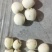【有芯白莲】莲子湖南产地直供自有工厂线上线下批发代发