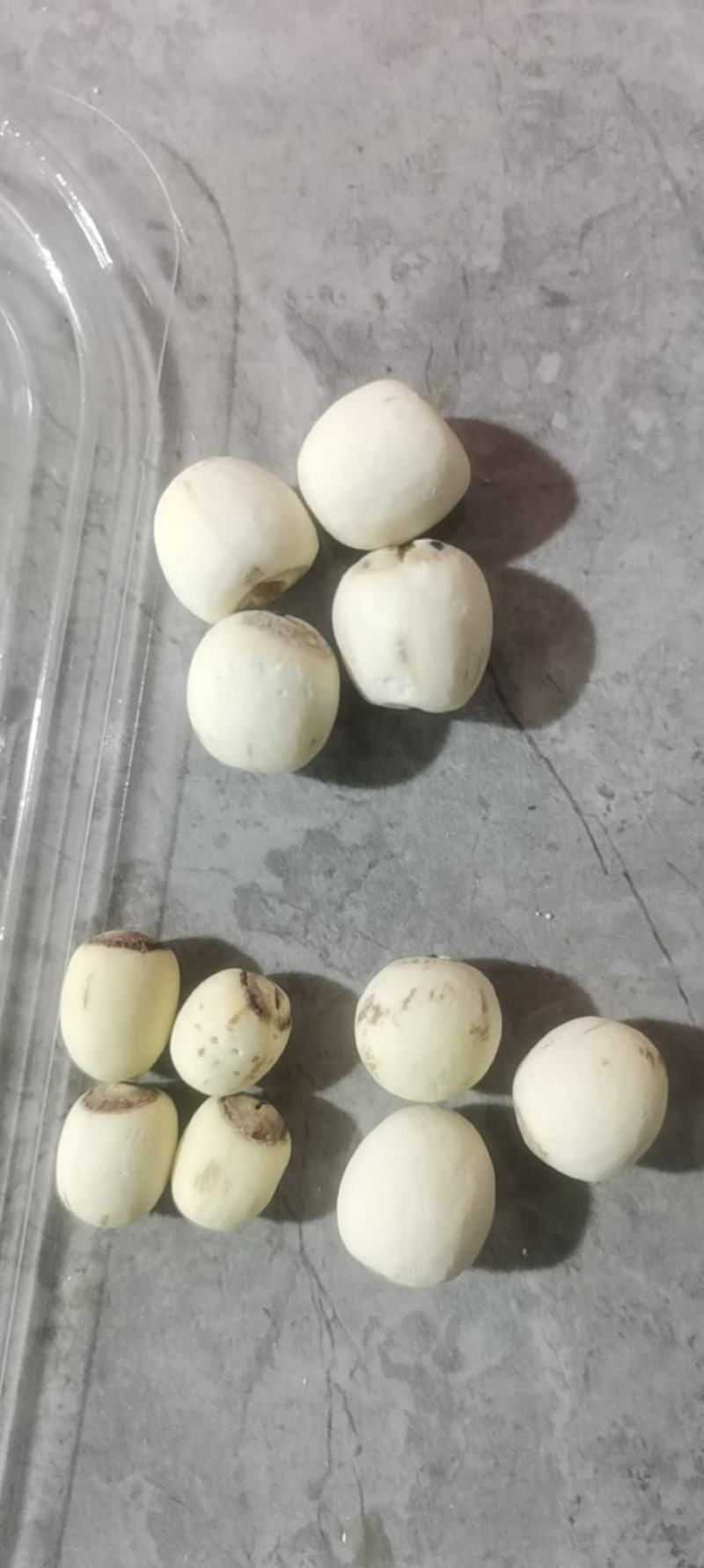【有芯白莲】莲子湖南产地直供自有工厂线上线下批发代发
