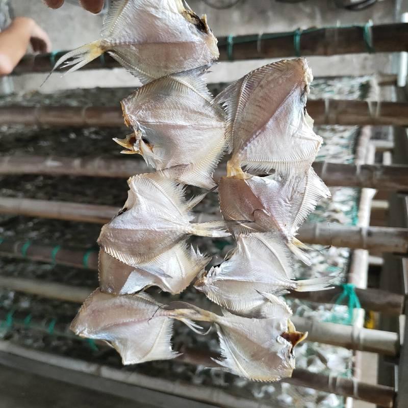 【店家推荐】小白鲳鱼咸鱼干小鱼干