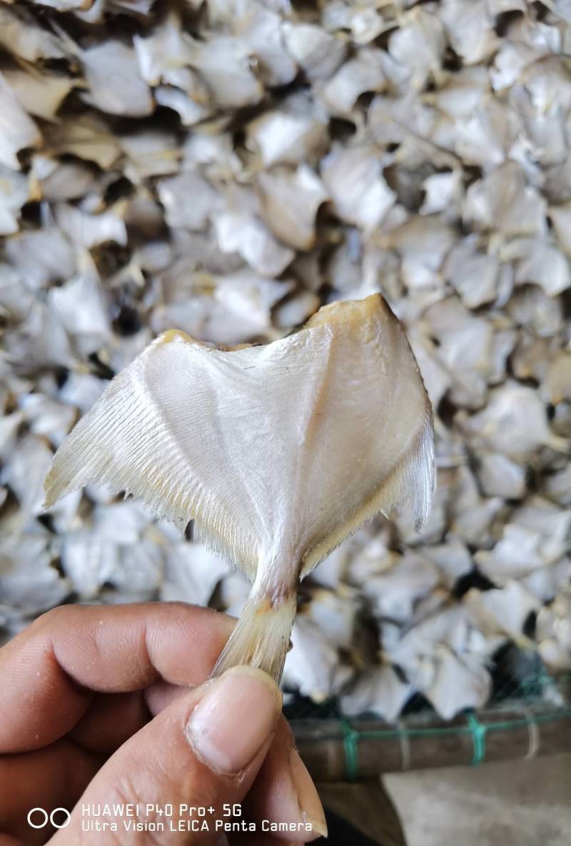 【店家推荐】小白鲳鱼咸鱼干小鱼干