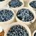 一件代发！云南高原新鲜蓝莓上市品种天后口感纯甜果