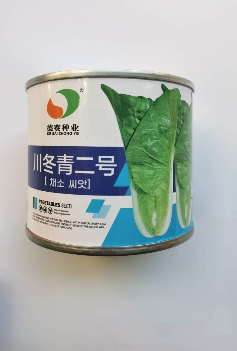 德赛川冬青二号耐寒快菜种子抗低温晚抽苔越冬小白菜种子春冬