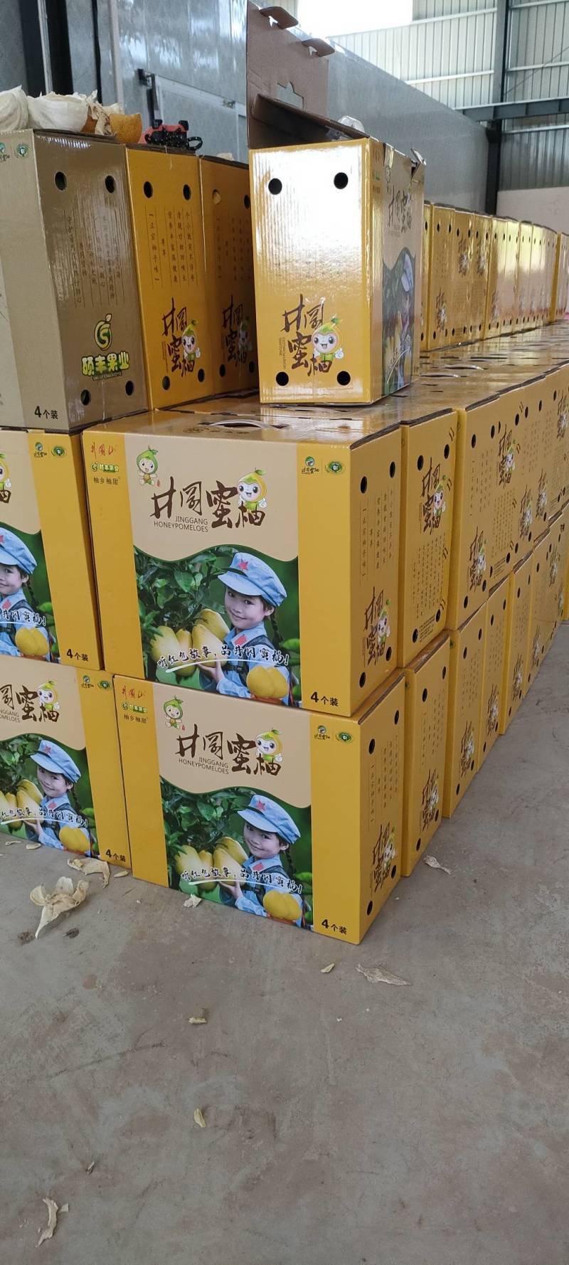 千亩蜜柚金沙柚金兰柚开园上市