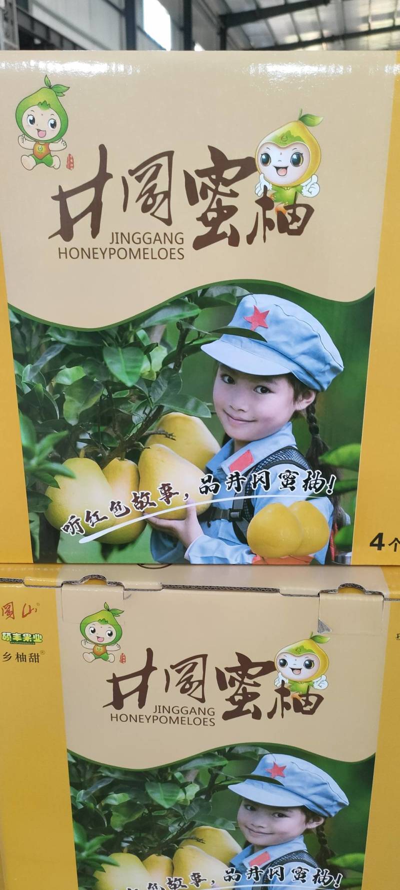 千亩蜜柚金沙柚金兰柚开园上市