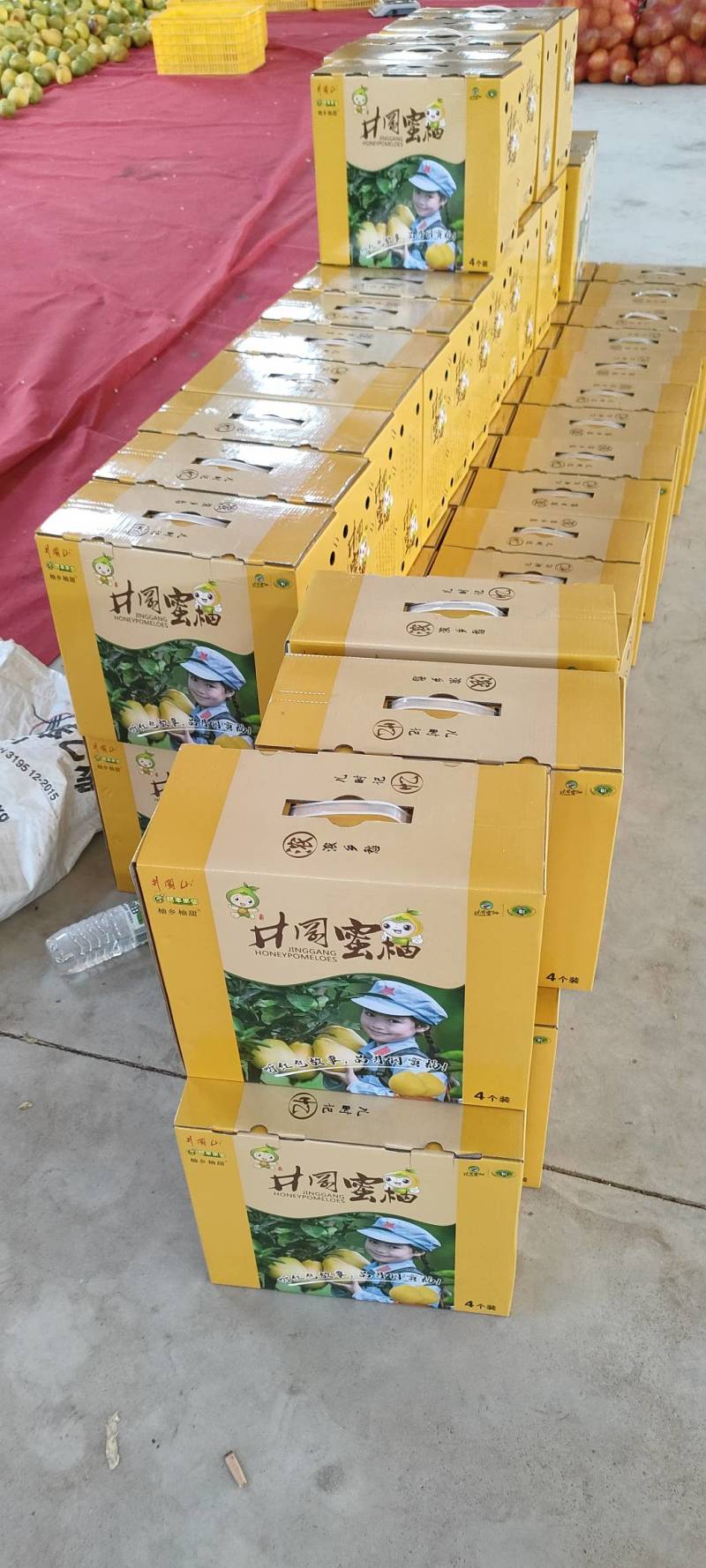 千亩蜜柚金沙柚金兰柚开园上市