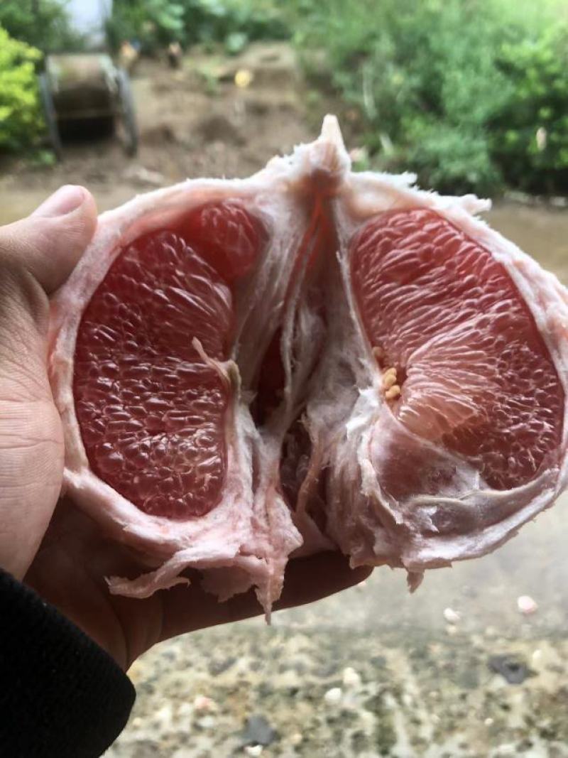 搞快点哦，，还没有联系我的抓紧时间哦，，