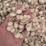 出口精品白芍2斤起批包邮量大电议欢迎咨询各种中药材