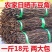 干豆角新货豇豆长豆角干菜脱水蔬菜农家自制长豆角包邮