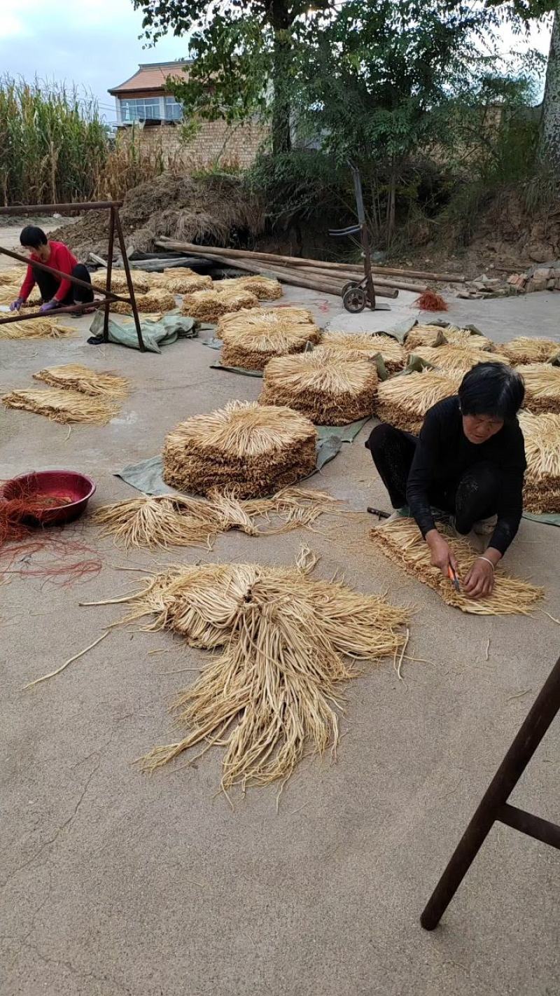 甘肃定西白条党参有硫货产地打包一手货源精选把子批发药材
