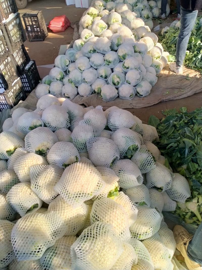 菜花1斤，实花紧密，乳白，花型好看，无鼓包