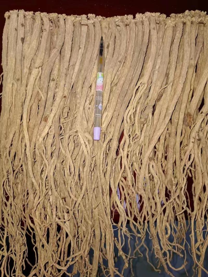 甘肃定西白条党参有硫货产地打包一手货源精选把子批发药材