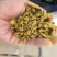 饲养用棉籽饼喂牛羊专用营养成分高饲料常年供货