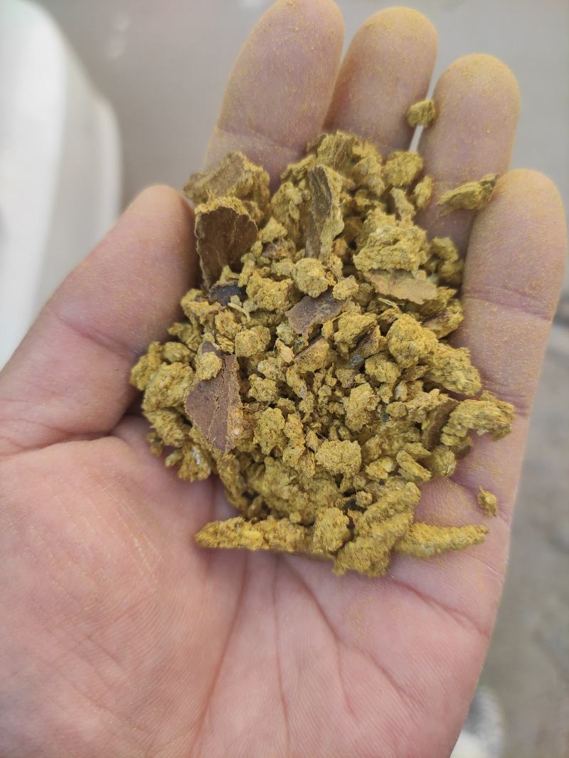 饲养用棉籽饼喂牛羊专用营养成分高饲料常年供货