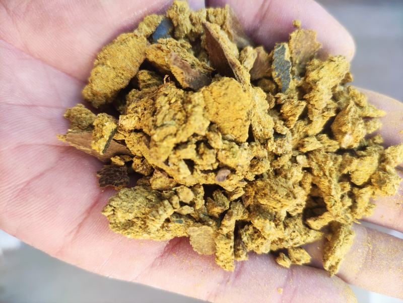 饲养用棉籽饼喂牛羊专用营养成分高饲料常年供货
