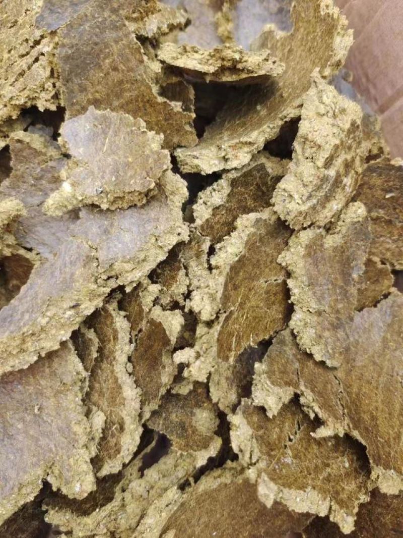 【推荐】棉籽饼果蔬蘑菇肥料用大量现货欢迎咨询