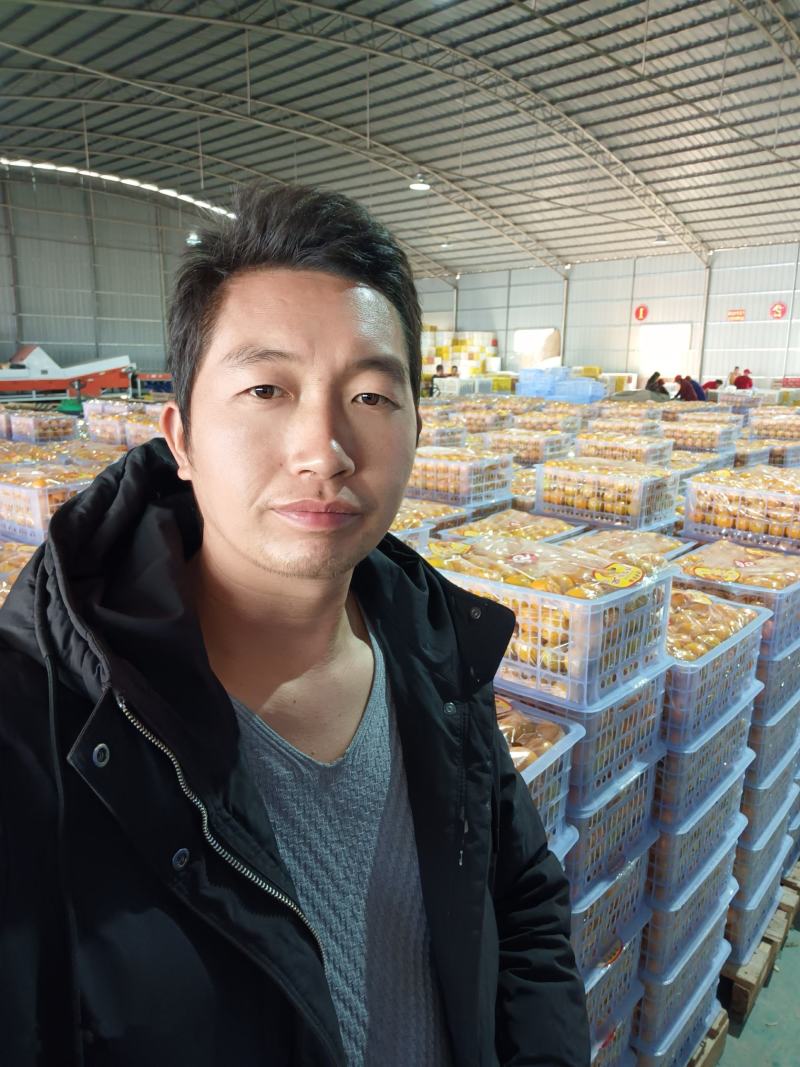 【精选优品】广东皇帝柑贡柑电商超市社区团购对接供应