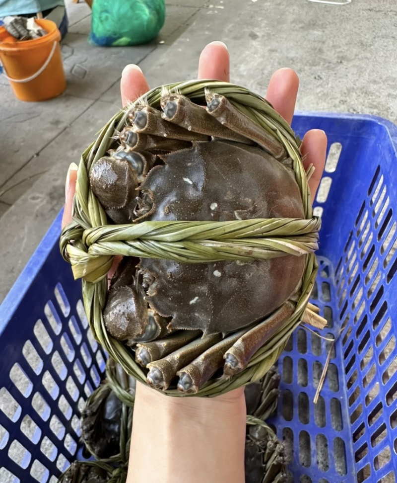 大闸蟹，批发价，支持一件代发，一手货源！