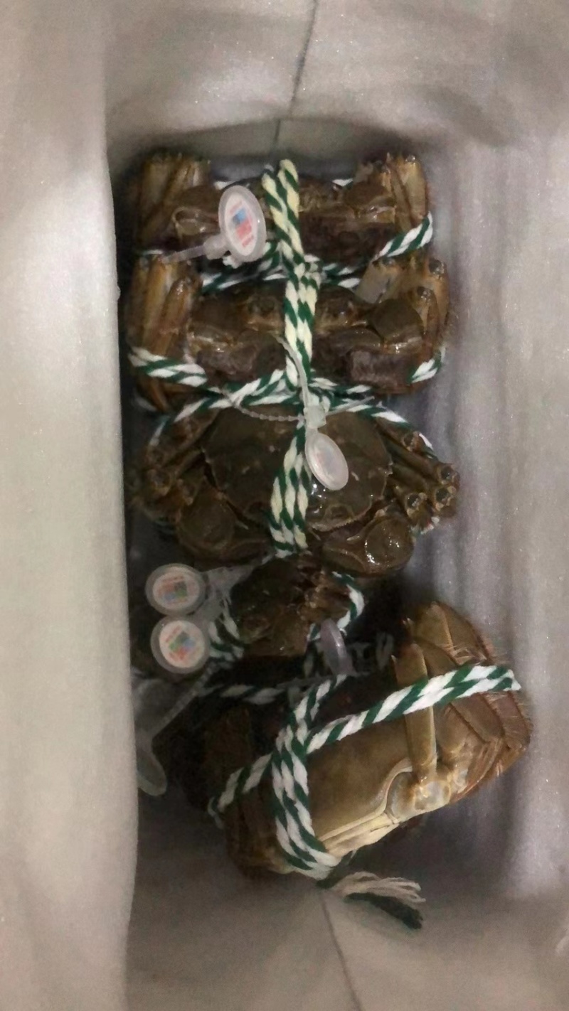 大闸蟹，批发价，支持一件代发，一手货源！