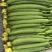 大龙长茄寿光精品蔬菜代收代发欢迎来电