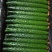 大龙长茄寿光精品蔬菜代收代发欢迎来电