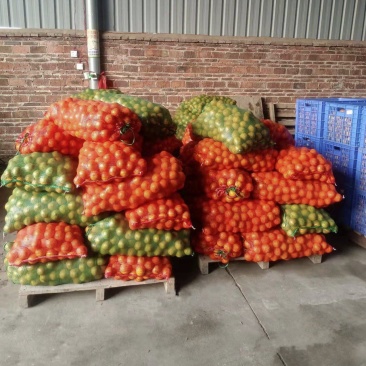 皇帝柑皇帝柑贡柑贡柑电商标果打腊果大量供应全国发货