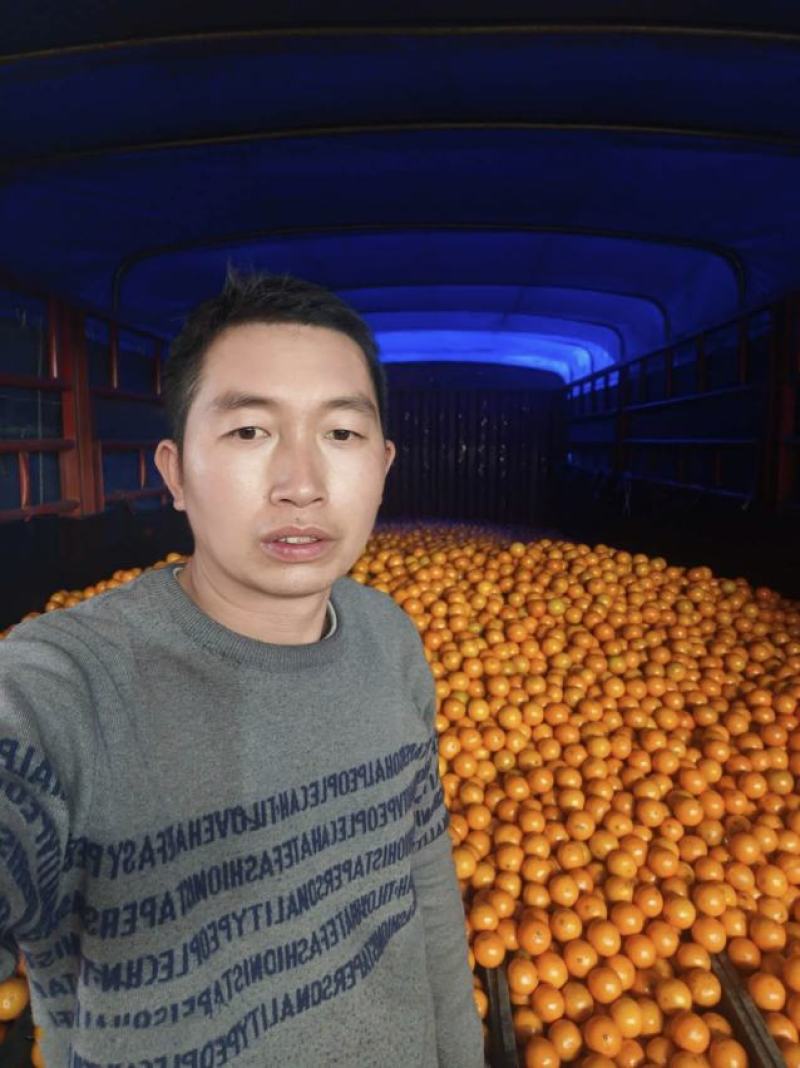 皇帝柑皇帝柑贡柑贡柑电商标果打腊果大量供应全国发货