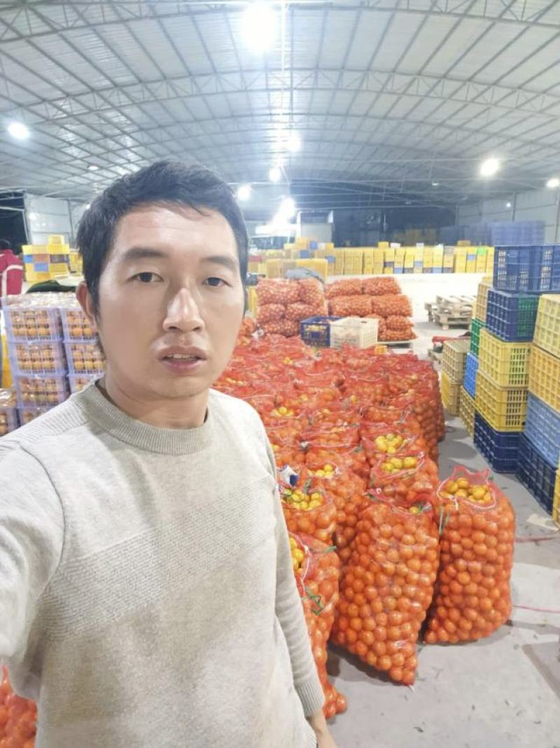 皇帝柑皇帝柑贡柑贡柑电商标果打腊果大量供应全国发货