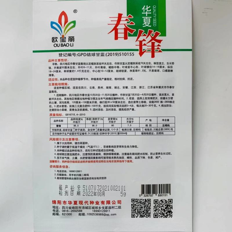 春锋甘蓝种子早熟春秋牛心甘蓝种子尖头型甘兰种子甜脆
