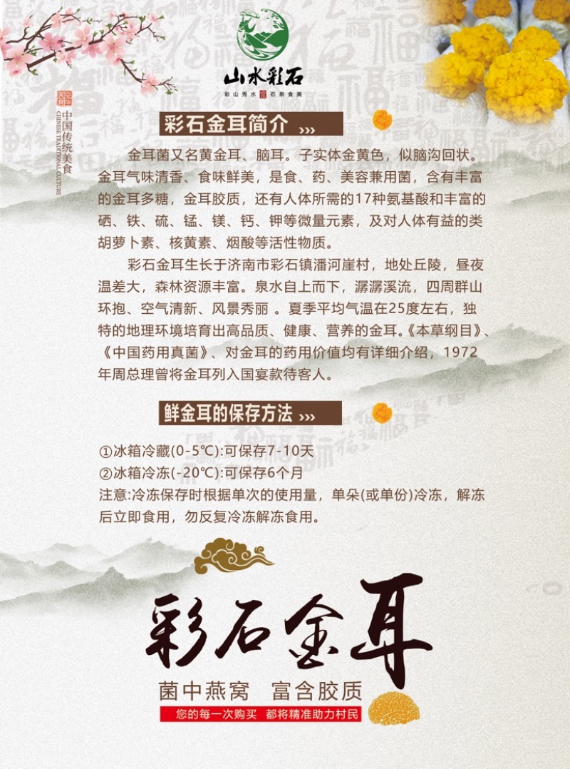 彩石金耳菌