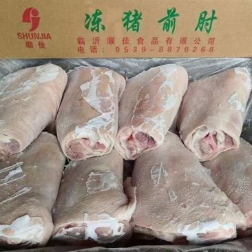 前肘八个定装物美价廉厂家发货价格优惠品质有保障欢迎订