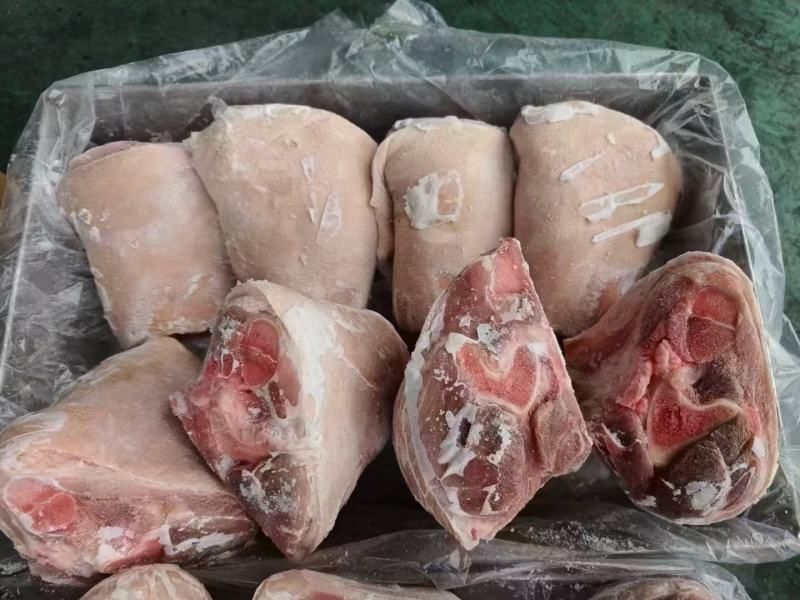 前肘八个定装物美价廉厂家发货价格优惠品质有保障欢迎订