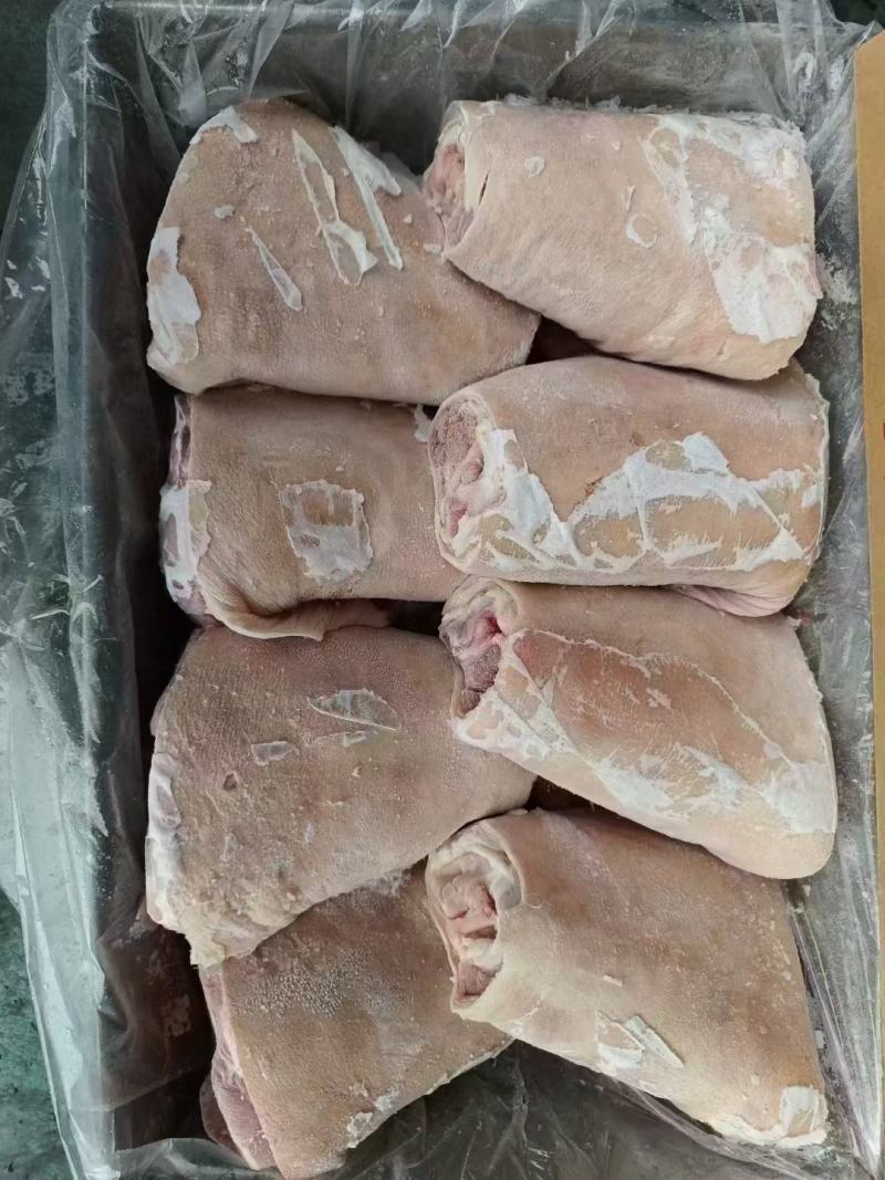 前肘八个定装物美价廉厂家发货价格优惠品质有保障欢迎订