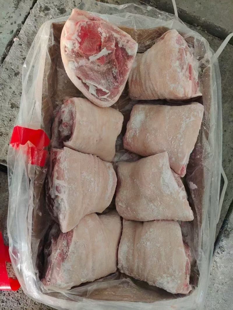 前肘八个定装物美价廉厂家发货价格优惠品质有保障欢迎订