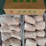 前肘八个定装物美价廉厂家发货价格优惠品质有保障欢迎订
