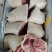 前肘八个定装物美价廉厂家发货价格优惠品质有保障欢迎订