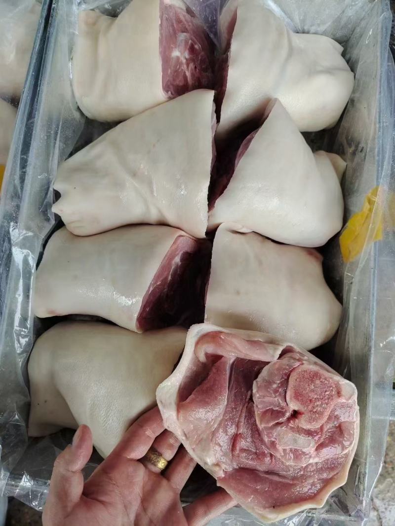 前肘八个定装物美价廉厂家发货价格优惠品质有保障欢迎订