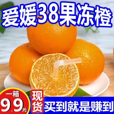 四川爱媛38号果冻橙/一件代发/接电商微商直播平台/现摘