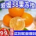 四川爱媛38号果冻橙/一件代发/接电商微商直播平台/现摘