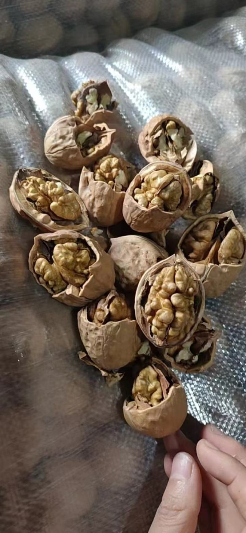 新疆核桃库房现货供应，价格便宜️