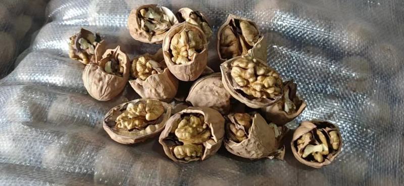 新疆核桃库房现货供应，价格便宜️