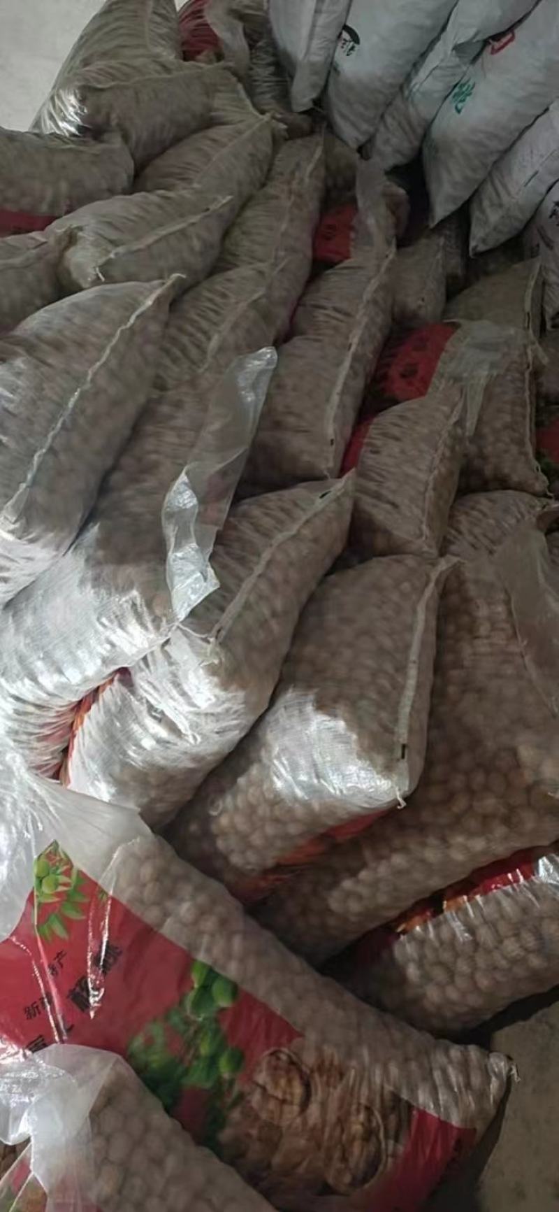 新疆核桃库房现货供应，价格便宜️