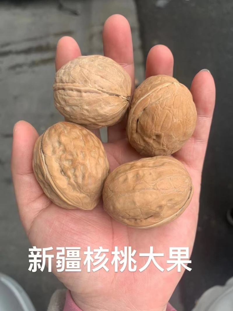 新疆核桃库房现货供应，价格便宜️
