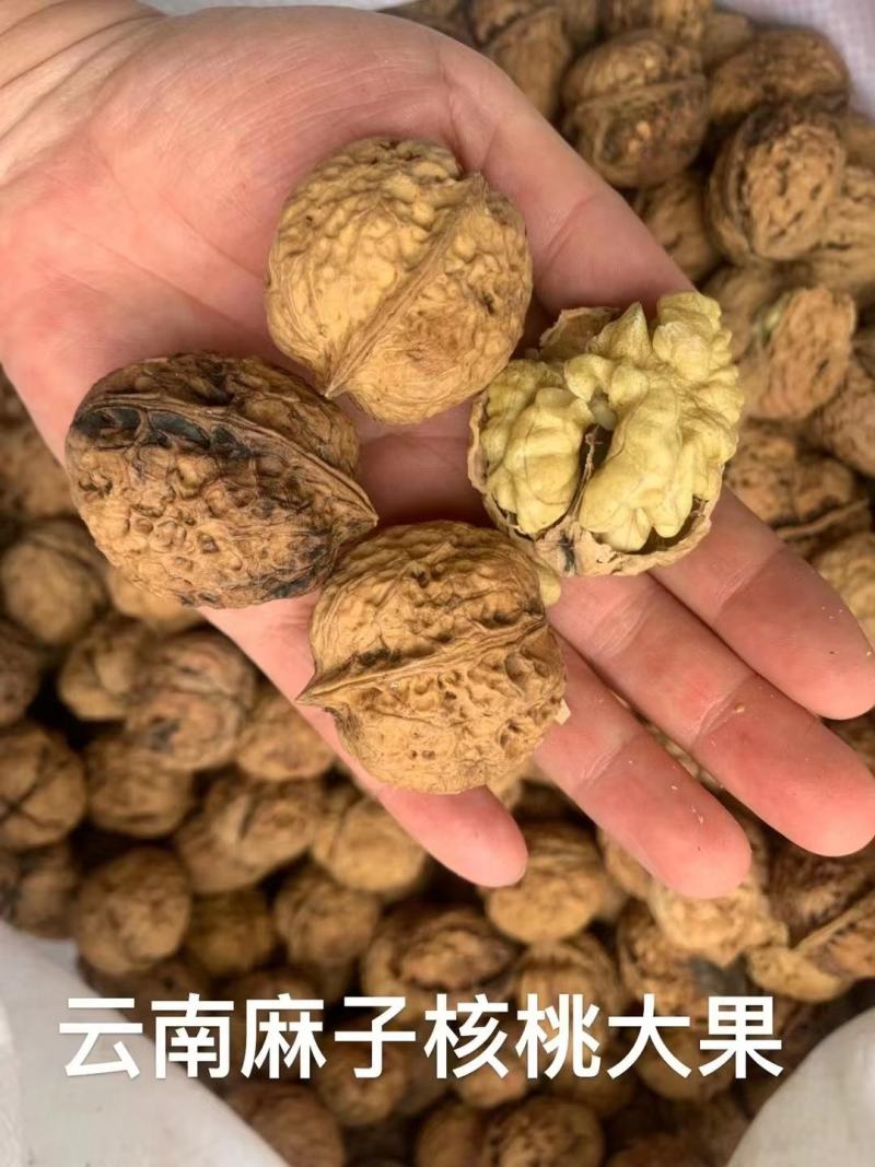 新疆核桃库房现货供应，价格便宜️